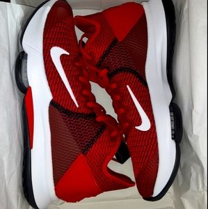 Lebron Witness IV basketball shoes